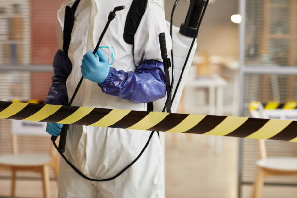 Professional Sewage Cleanup technician working in San Bernardino, CA